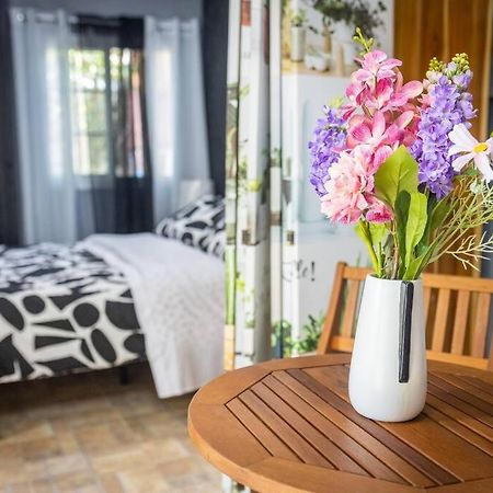 Dos Morenas Apartments - Apt 3 Bajo Boquete Екстер'єр фото
