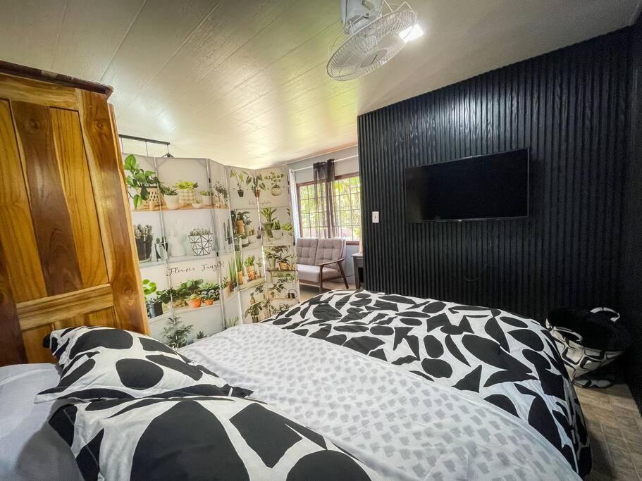 Dos Morenas Apartments - Apt 3 Bajo Boquete Екстер'єр фото
