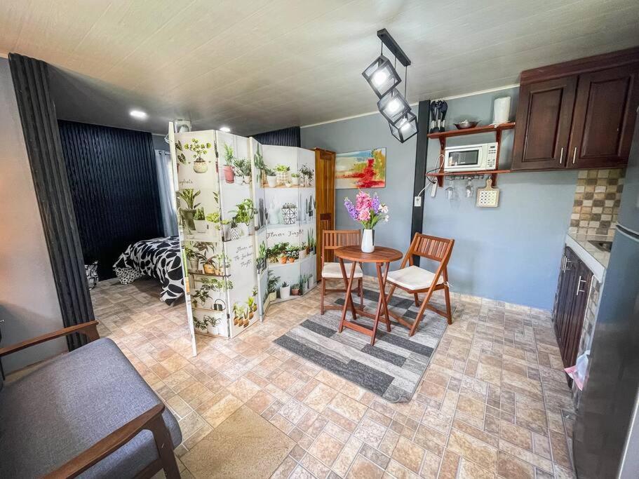 Dos Morenas Apartments - Apt 3 Bajo Boquete Екстер'єр фото