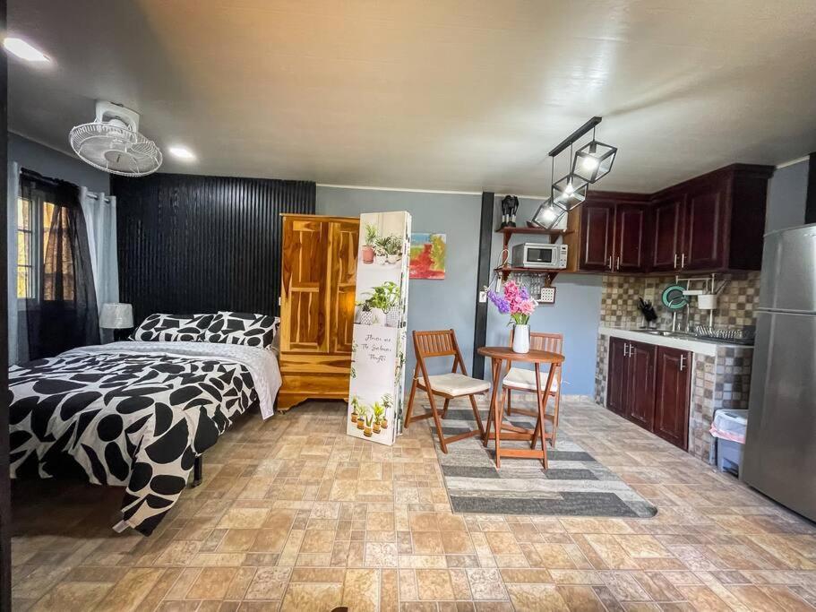 Dos Morenas Apartments - Apt 3 Bajo Boquete Екстер'єр фото