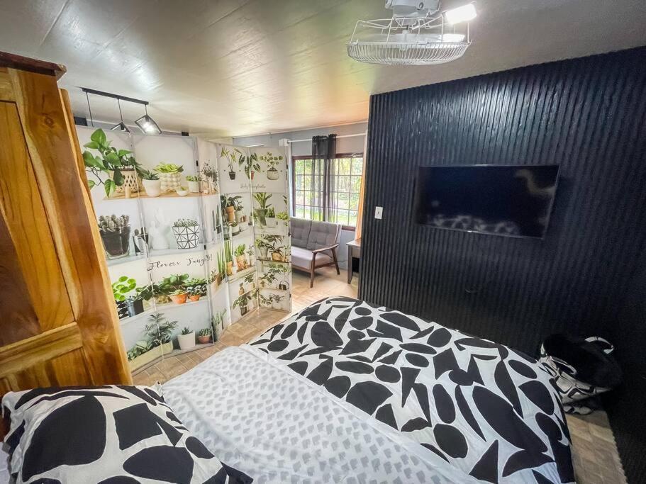 Dos Morenas Apartments - Apt 3 Bajo Boquete Екстер'єр фото