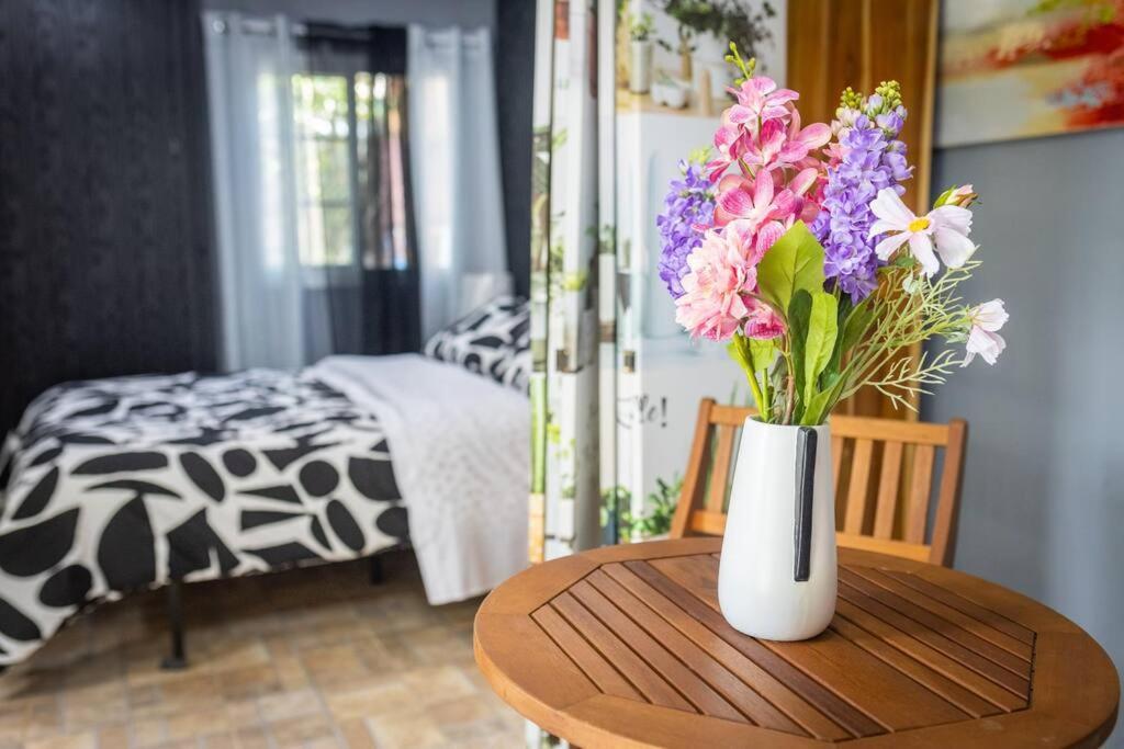 Dos Morenas Apartments - Apt 3 Bajo Boquete Екстер'єр фото