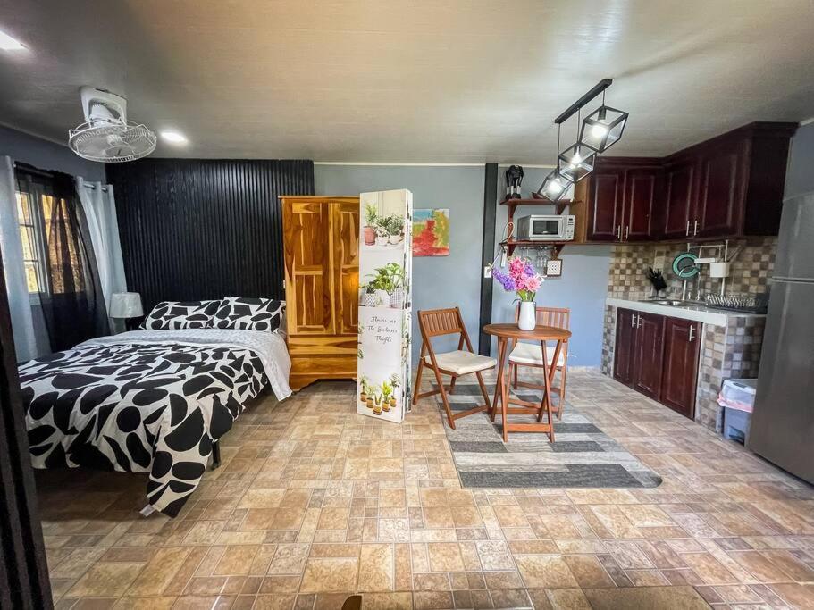Dos Morenas Apartments - Apt 3 Bajo Boquete Екстер'єр фото